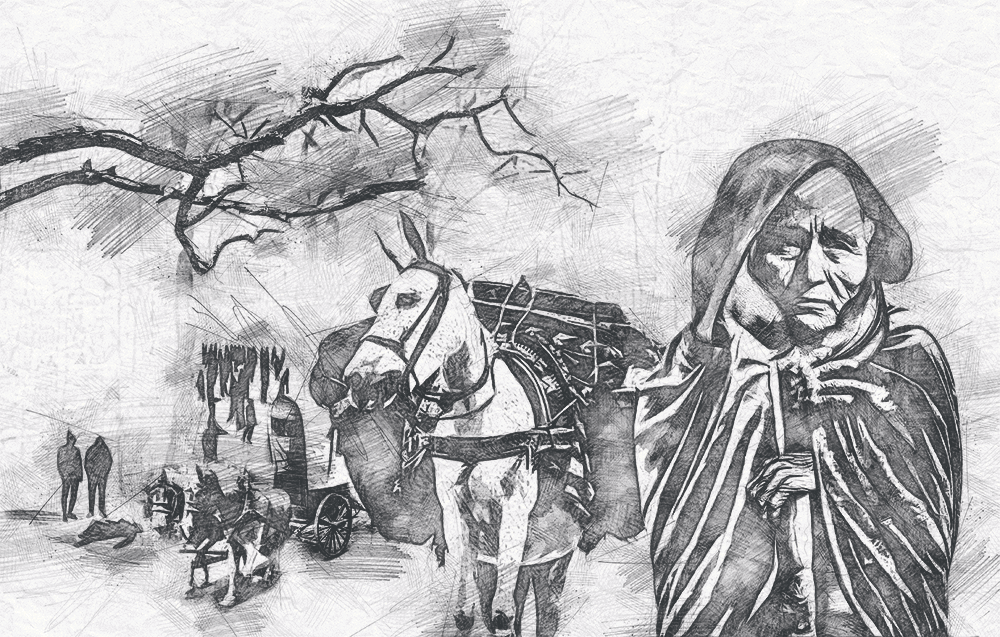 Illustration 3 alt